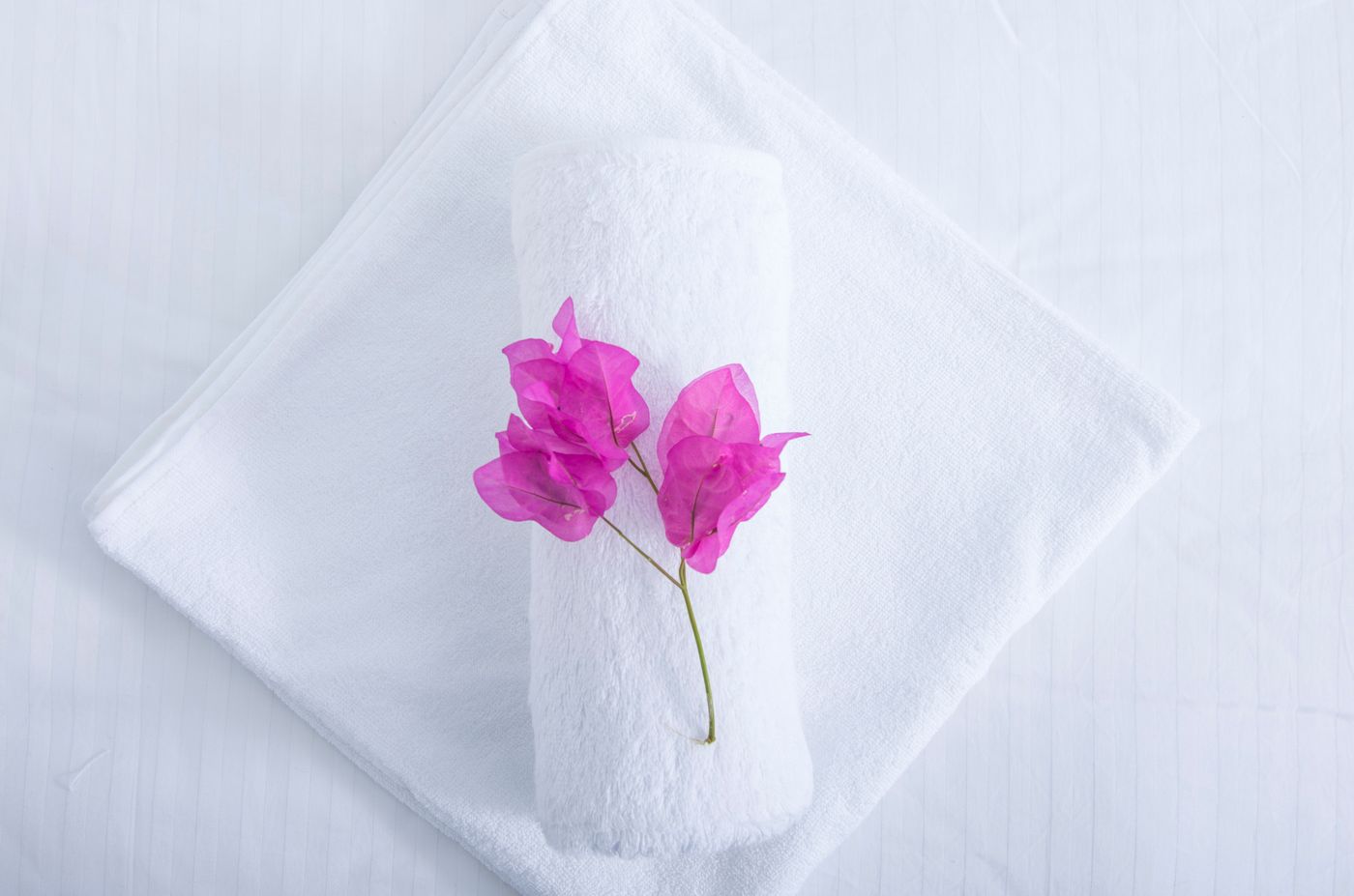 Paradise-Resort-Room-46