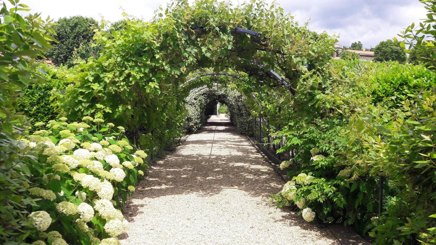 Villa Angel-France-CAUNES-MINERVOIS-General view-7