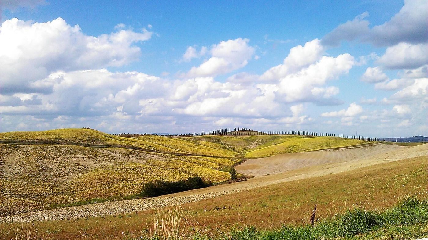 Hotel-1000-Miglia-Sports-and-Entertainment-2