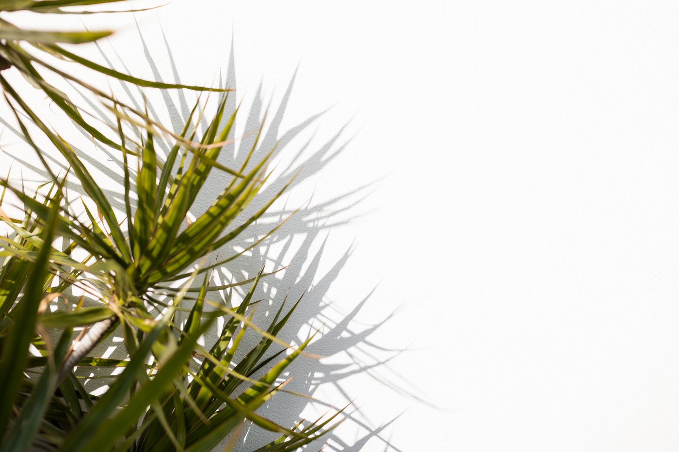 Princesa-Playa-General-view-52