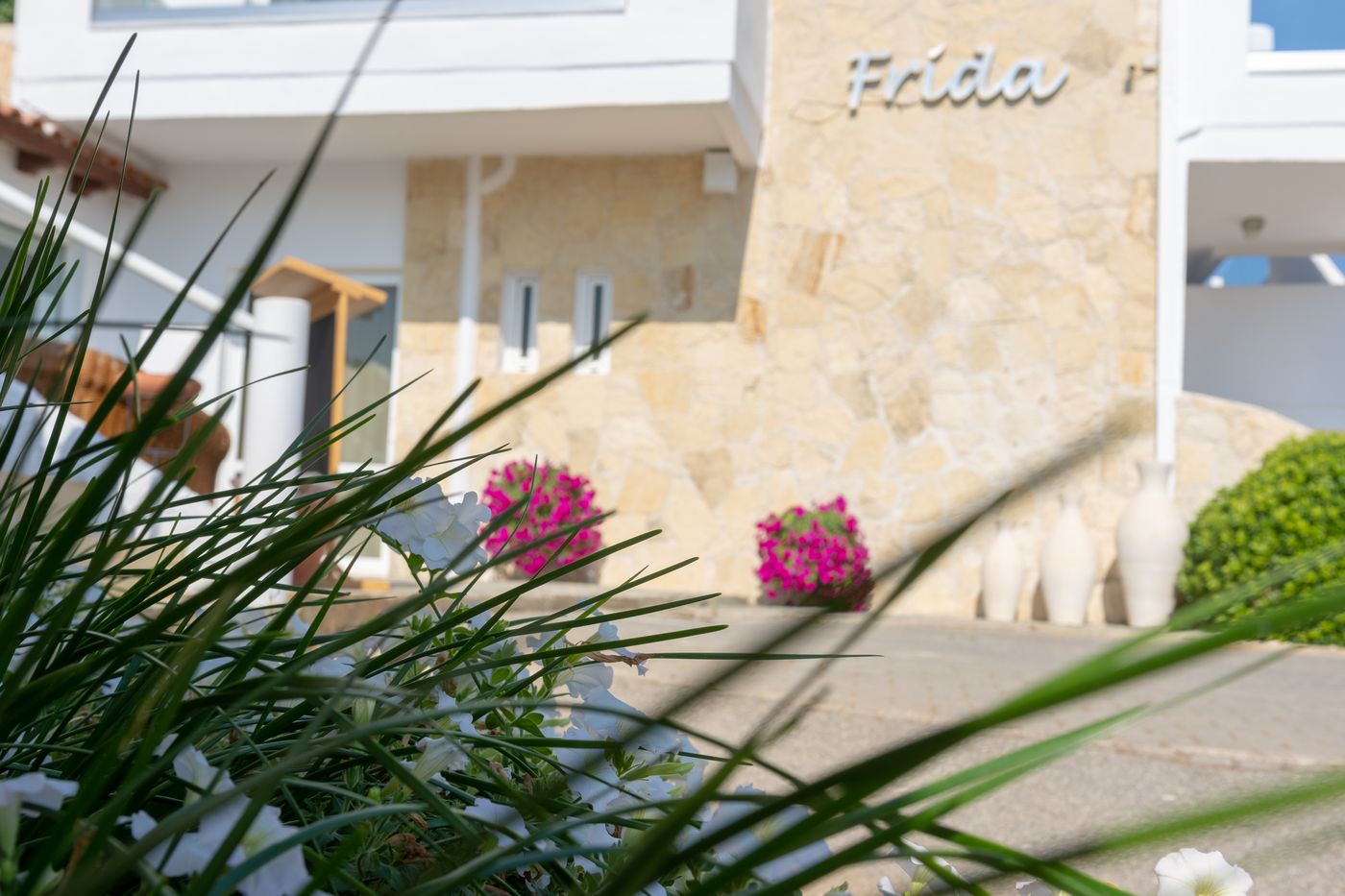 Frida-General-view-8