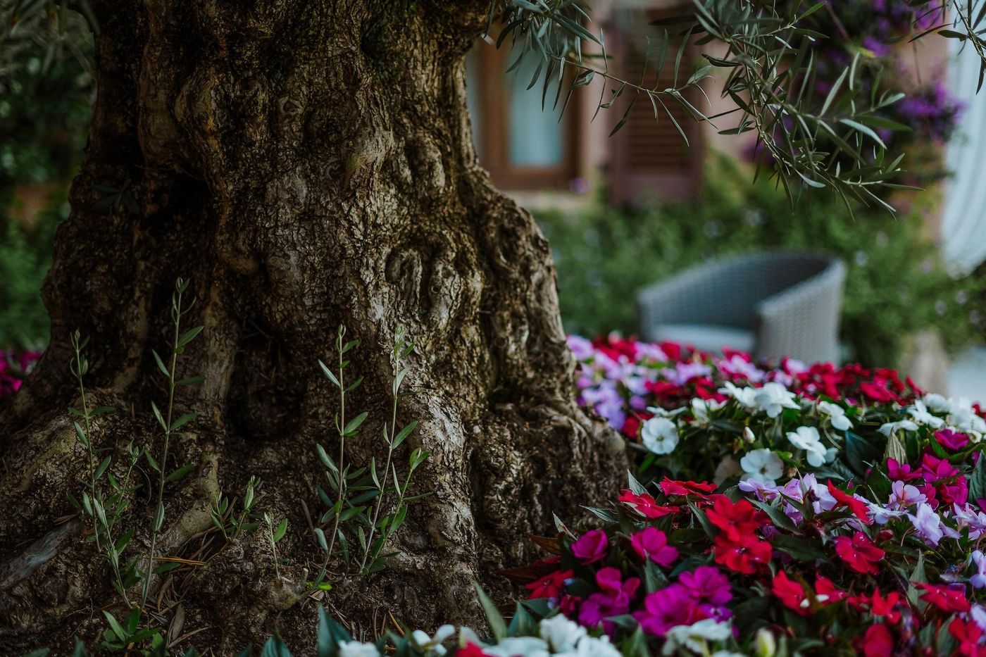 Relais Villa Carola-Italy-ARZACHENA-General view-9