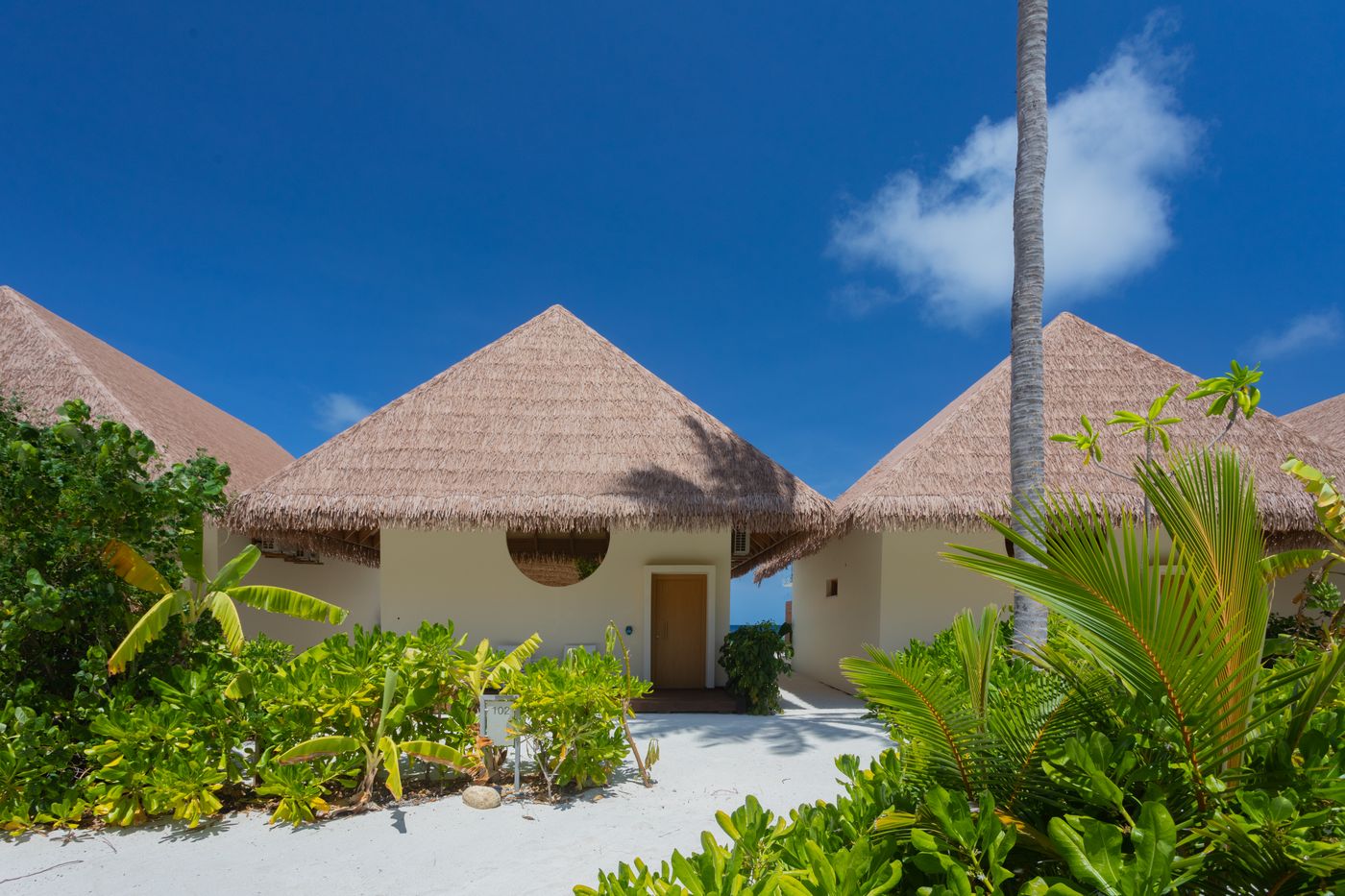 Cinnamon Velifushi Maldives