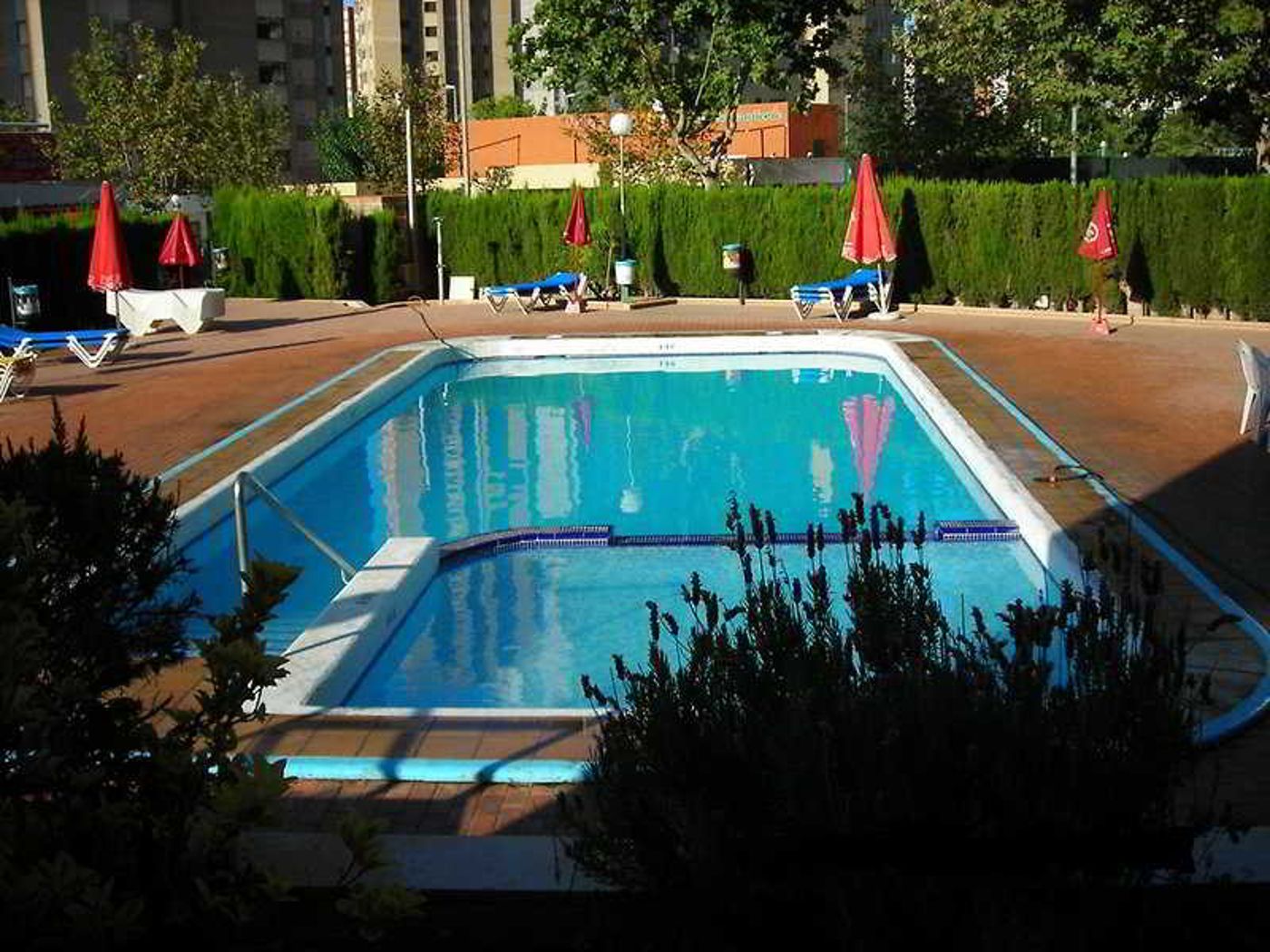 Alpha-Apartments-Pool-9