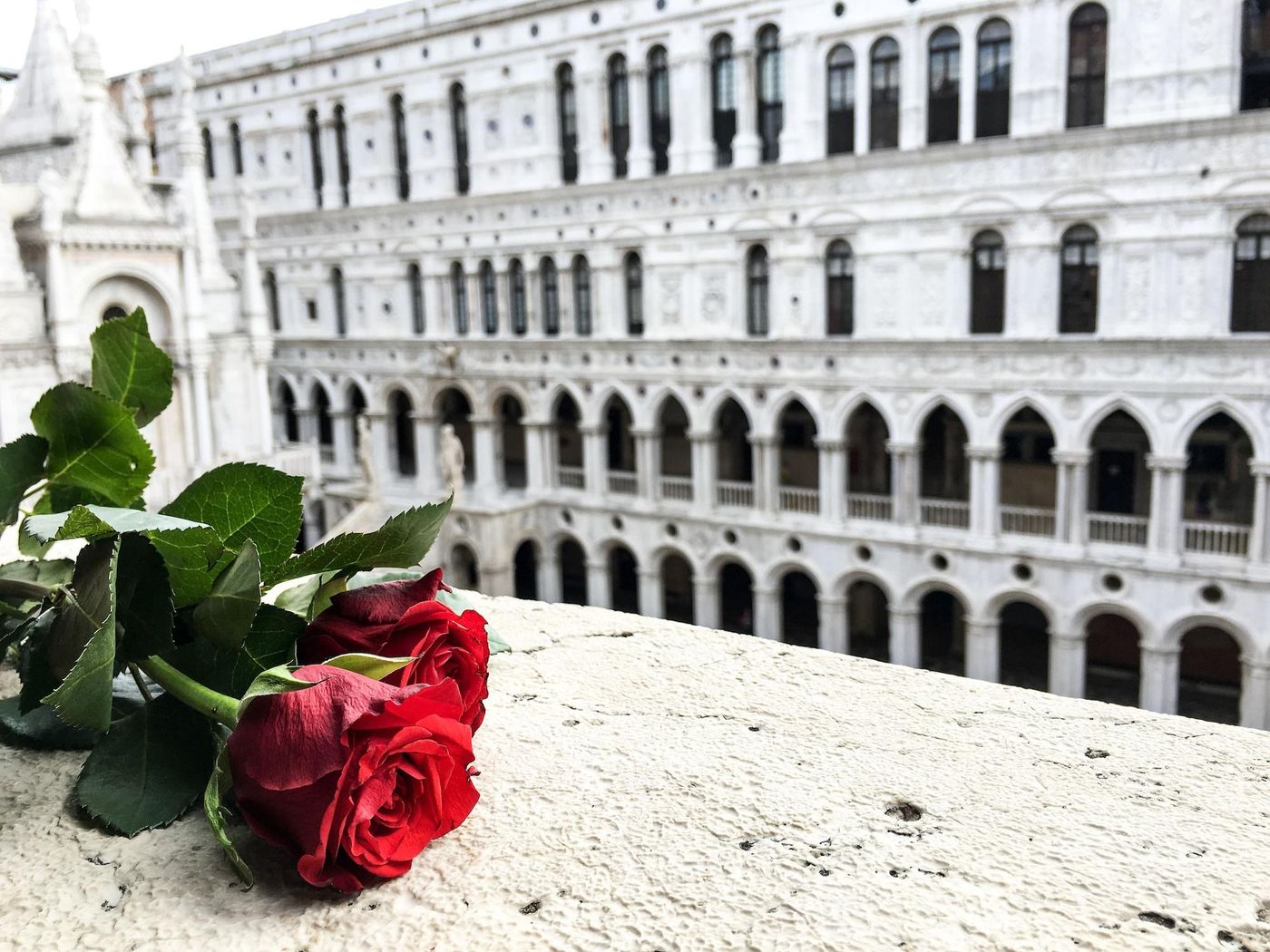 Angeles Inn-Italy-VENICE-General view-2