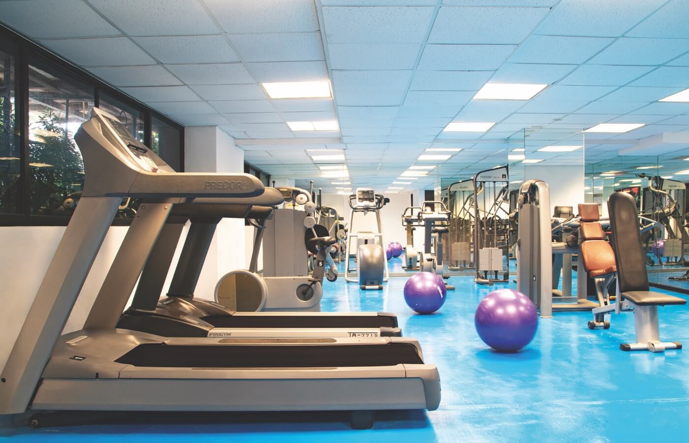 Oh! The Urban Oasis - Adults Only