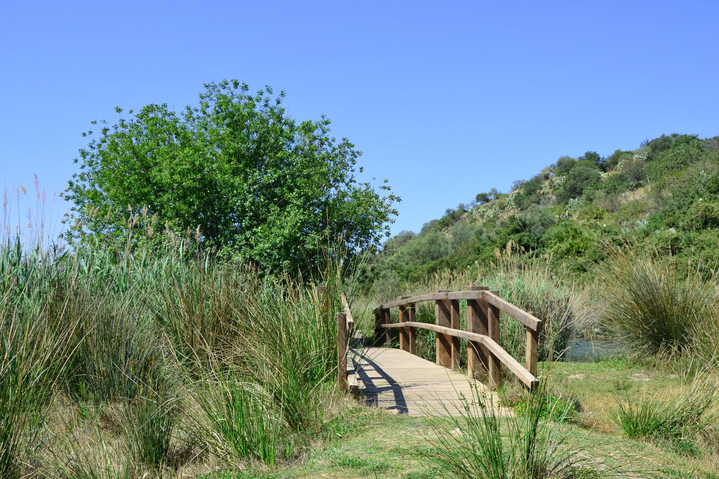 Bellavista-Residential-General-view-75