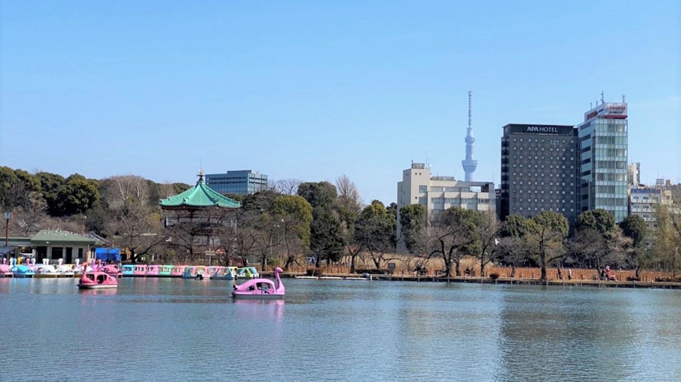 Vessel Inn Ueno Iriya Ekimae-Japan-TOKYO-General view-6