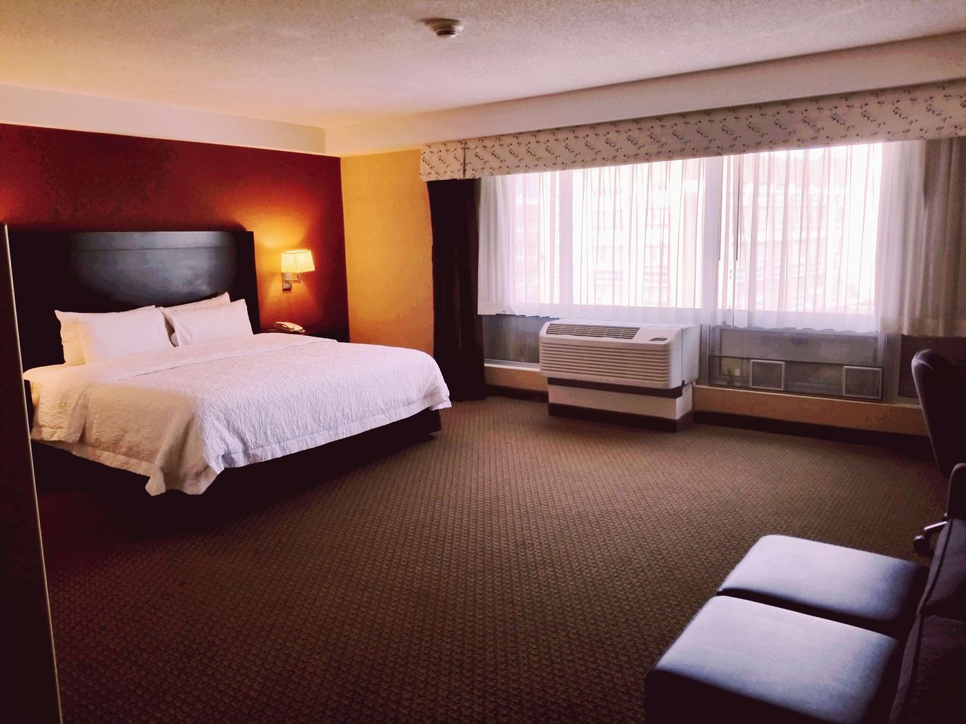 Hampton-Inn---Suites-Boston-Crosstown-Center-Room-23