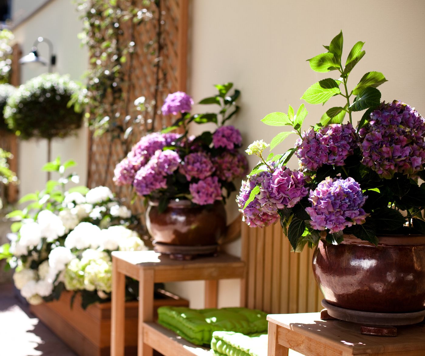 Hanseat - Germany - DÜSSELDORF  - Terrace - 4