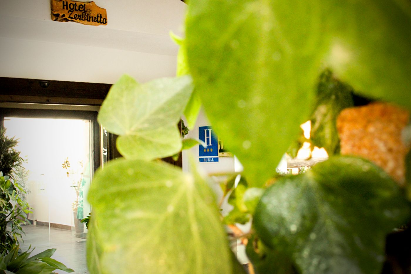 Zerbinetta-Spain-DILAR-General view-4