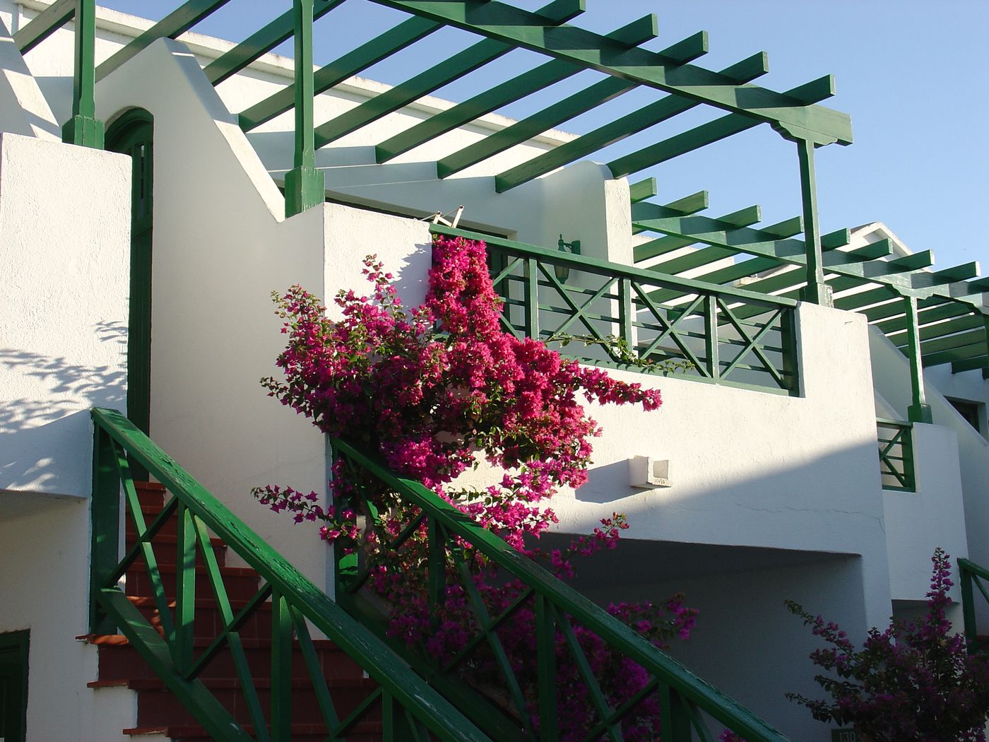 HG-Lomo-Blanco-General-view-17