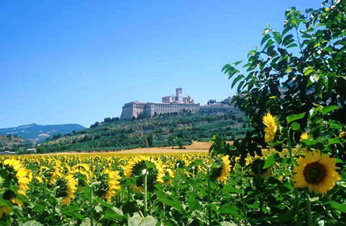 Hotel Cristallo Assisi-Italy-ASSISI-General view-8