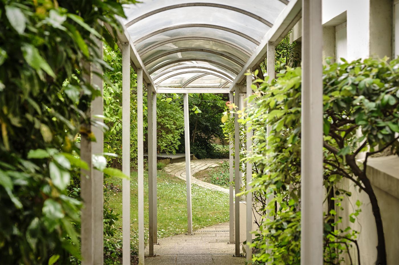 Abaca-Messidor-by-Happyculture-General-view-12