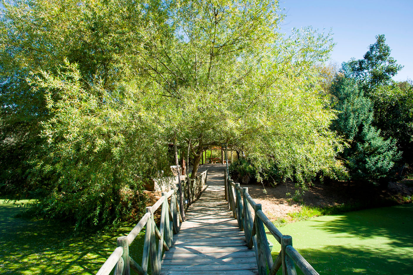 Moinho-Do-Alamo-Sports-and-Entertainment-12