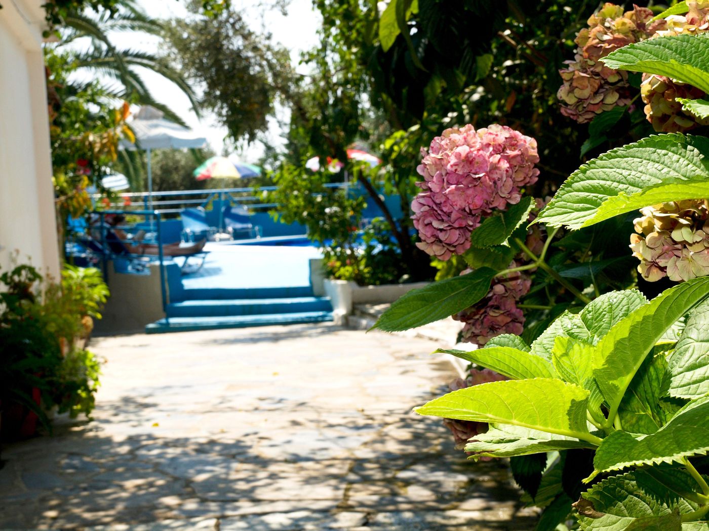 Nikolas-Studios-General-view-8