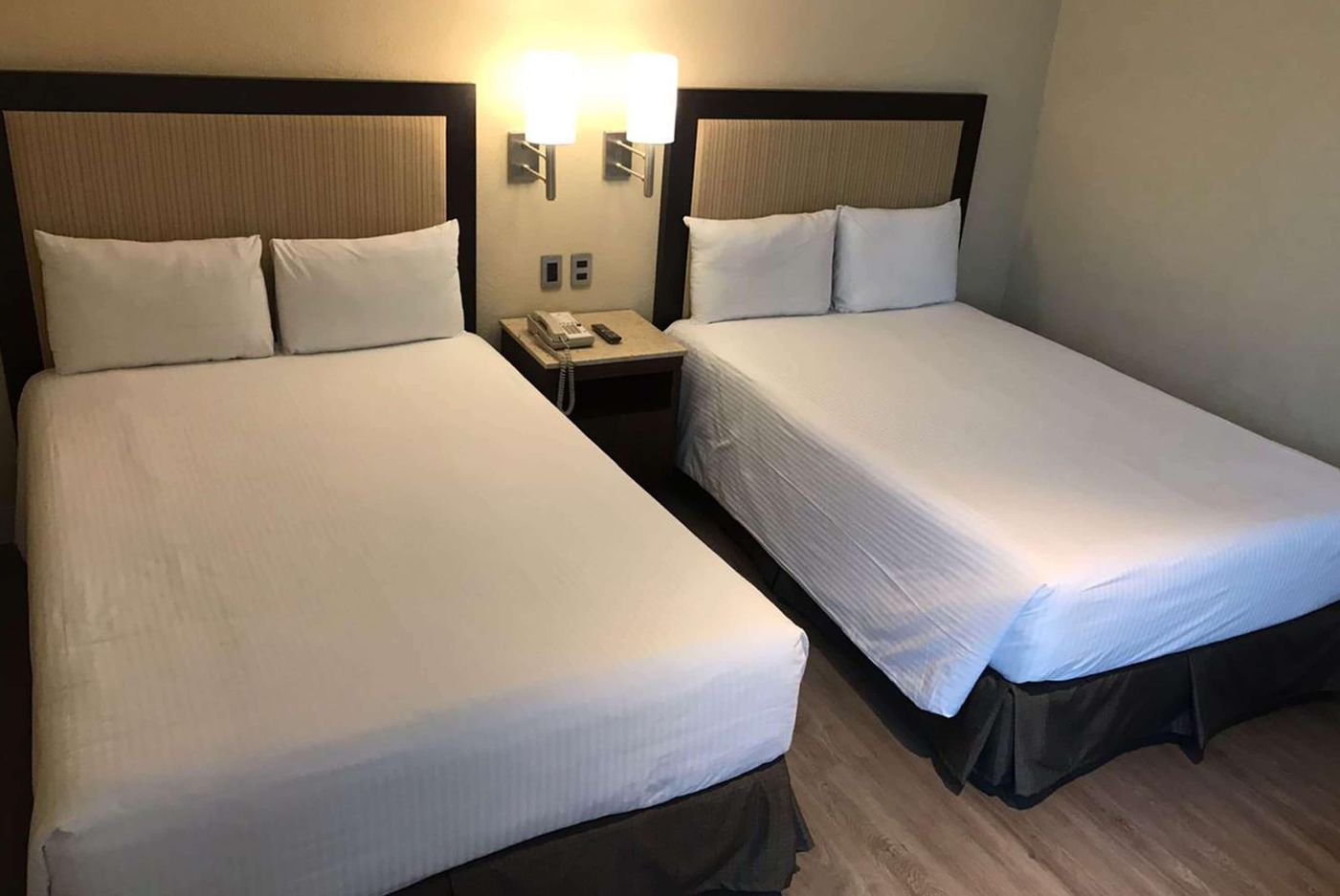 Exe Alameda Reforma-Mexico-Ciudad De Mexico-Room-8