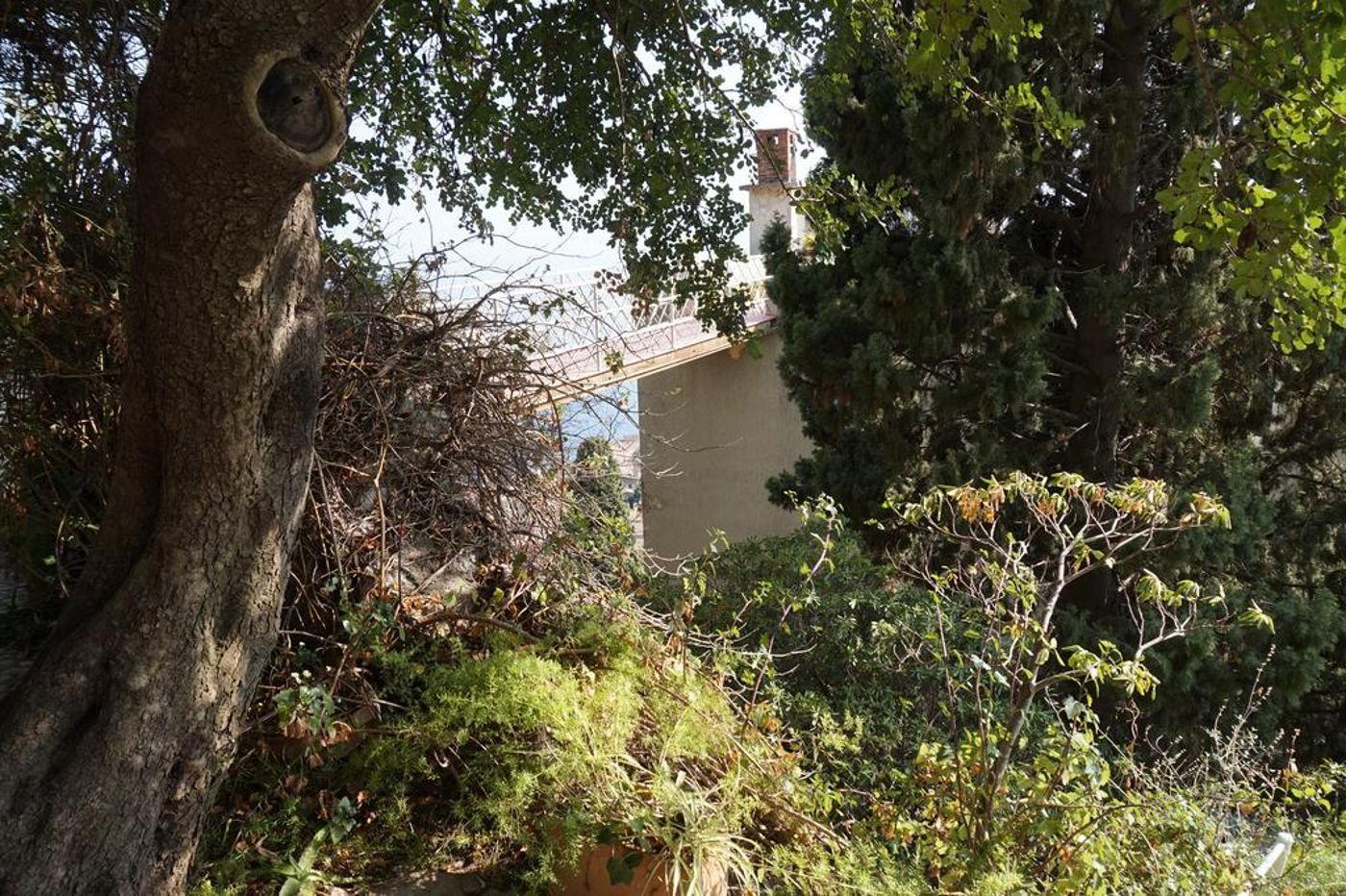 Mediterranee-Hotel-Pool-35