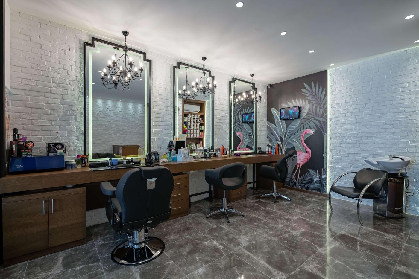 Papillon-Belvil-Sports-and-Entertainment-66