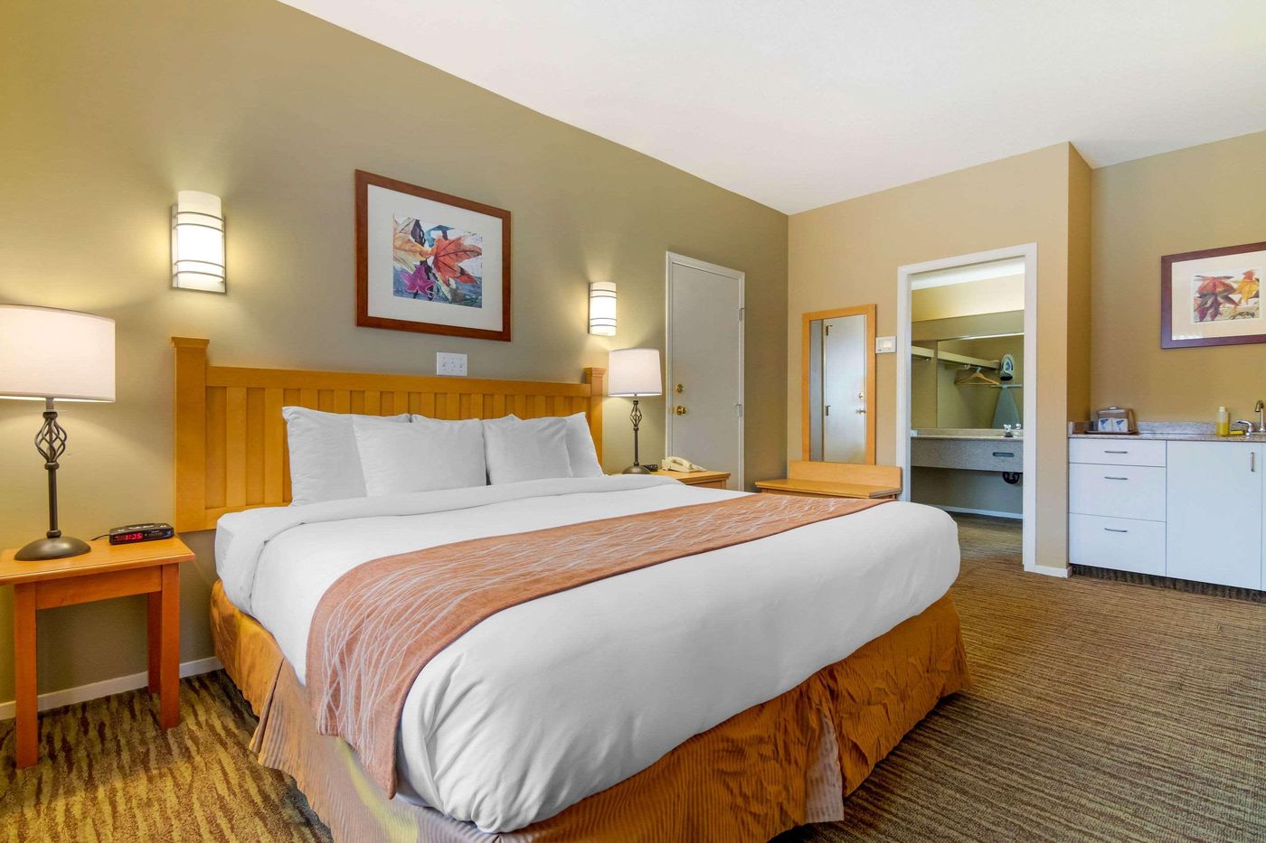 Econo-Lodge-Inn---Suites-N--Vancouver-Room-9