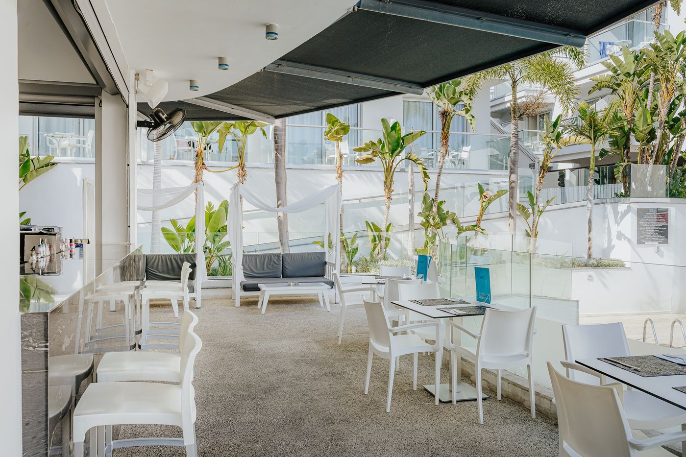 24.12.25 Tasia Maris Oasis