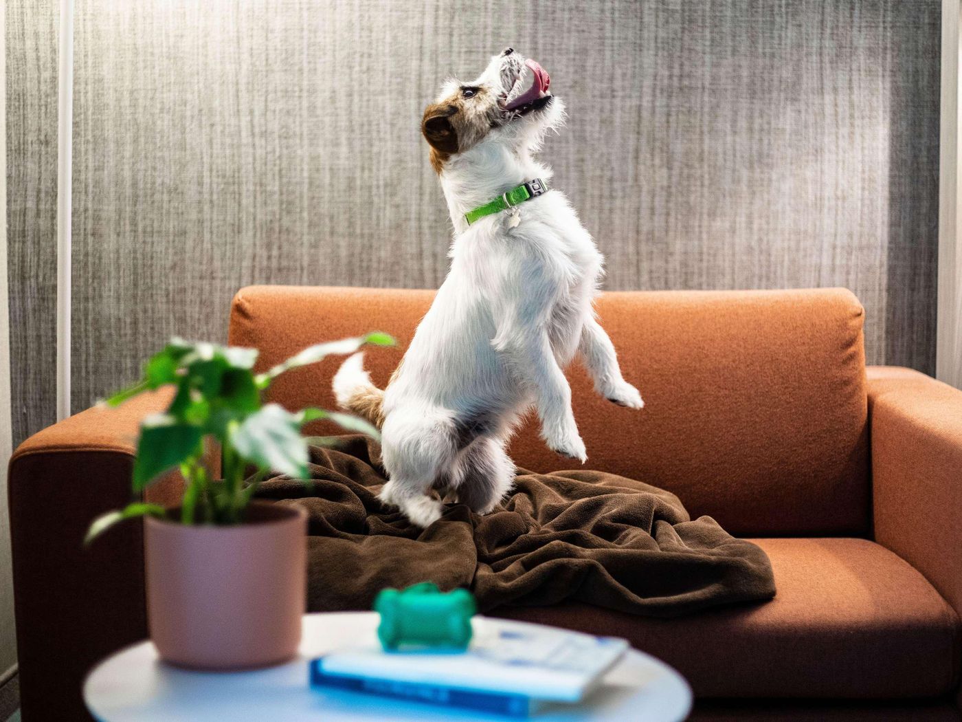 Mercure-Firenze-Centro-Room-7