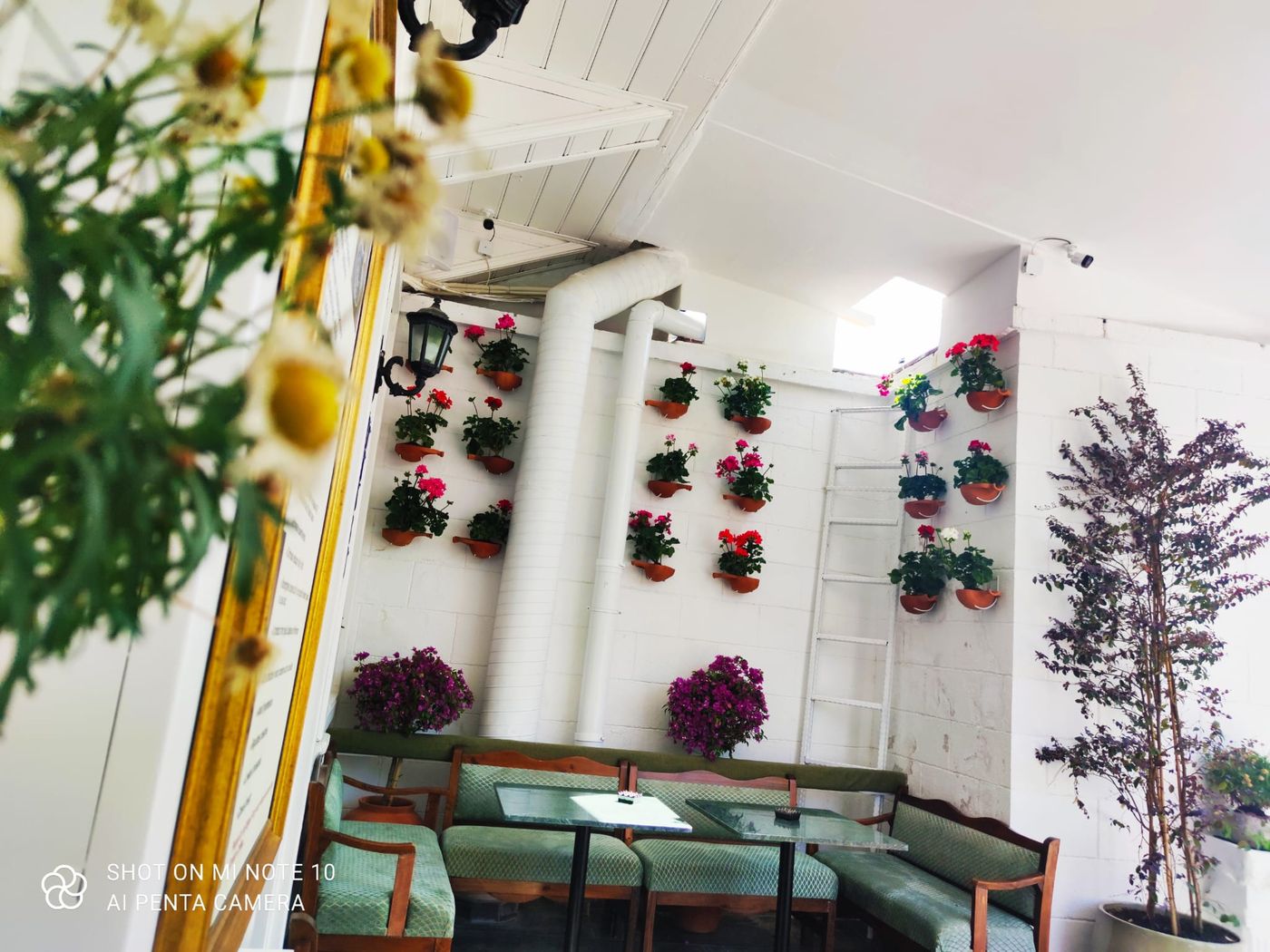 Solomon's Mansion Hotel-Turkey-Istanbul-Terrace-1