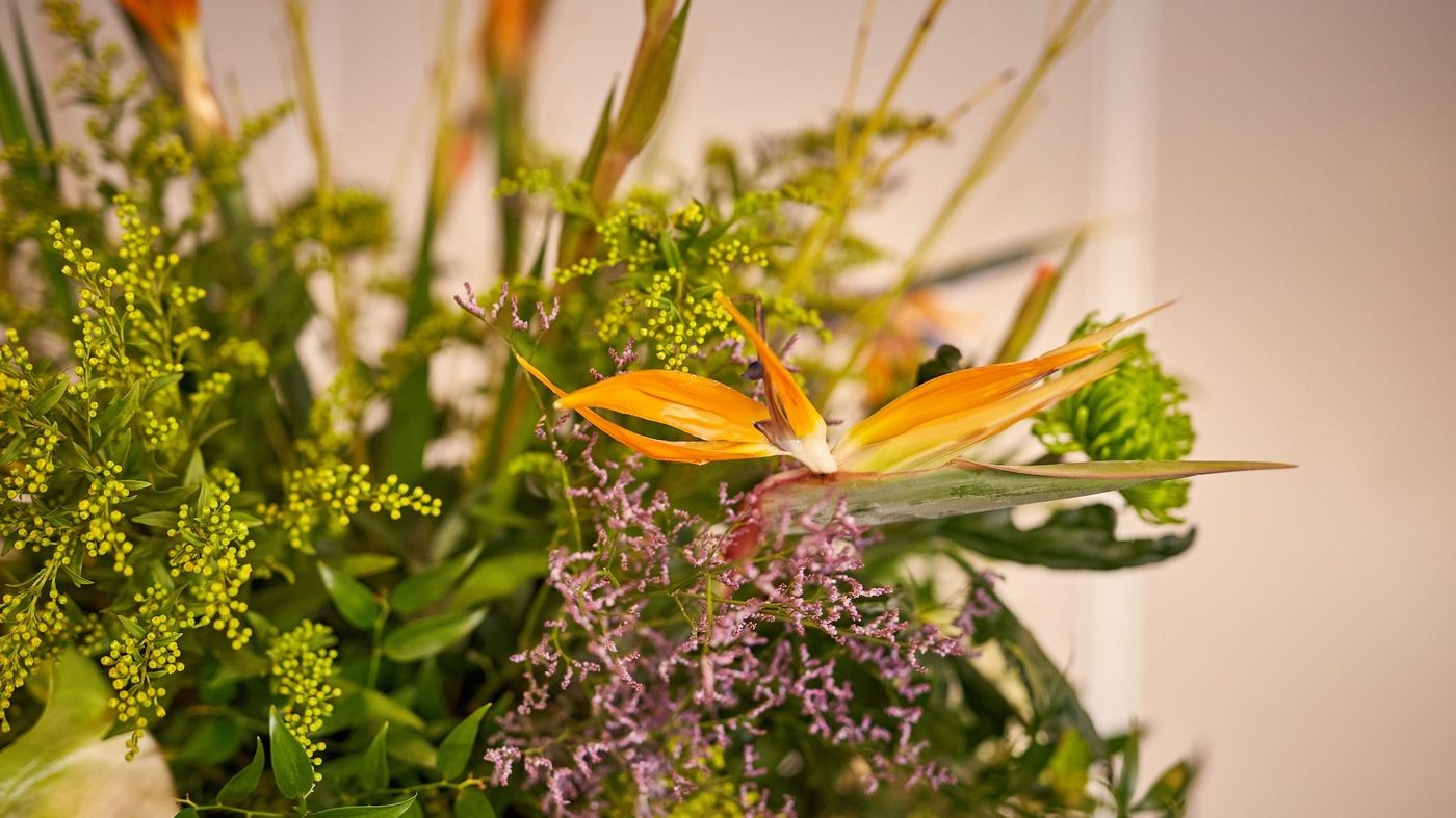 Van Der Valk Hotel Ara-Netherlands-ZWIJNDRECHT-Lobby-4