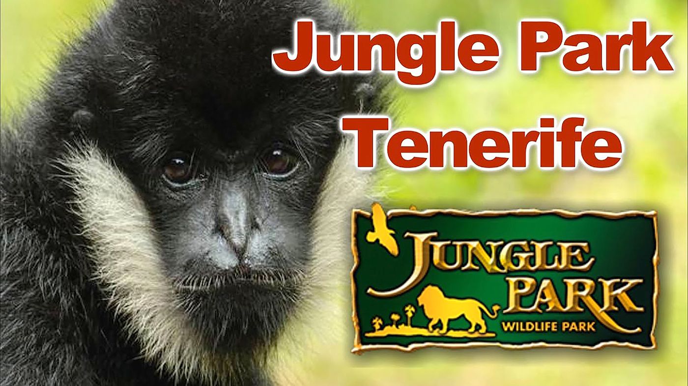 Adonis-Pelinor-Sports-and-Entertainment-6