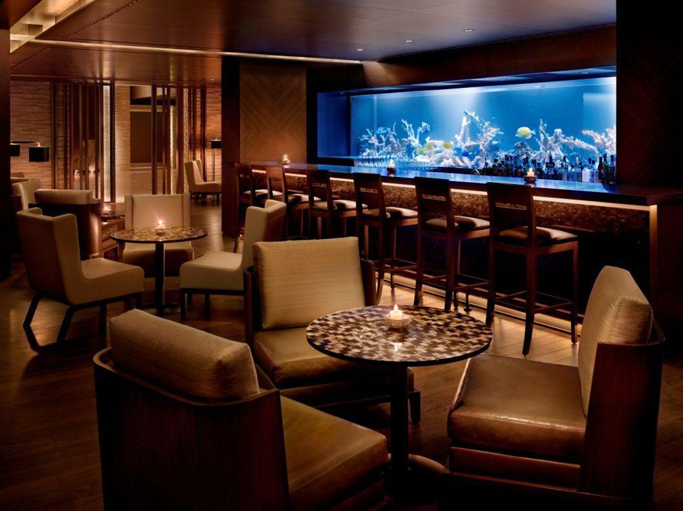 Hyatt Centric Levent Istanbul - Turkey - LEVENT/ISTANBUL - Restaurant - 0