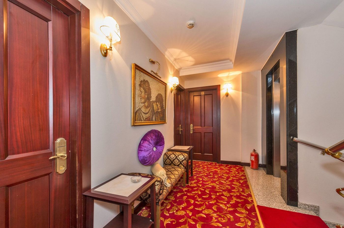 Daphne Hotel-Turkey-ISTANBUL-Lobby-3