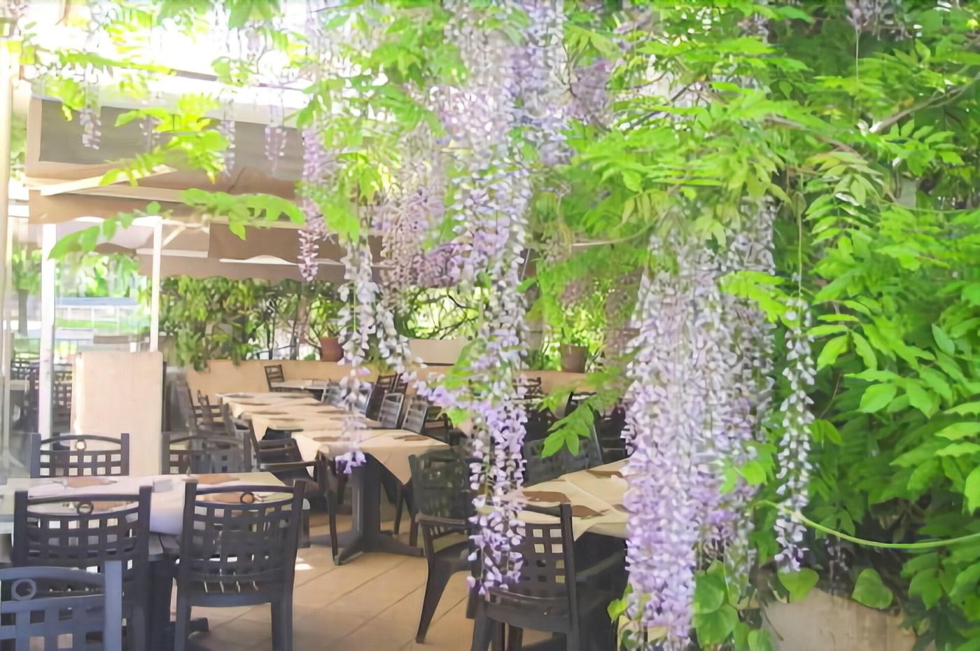 Hôtel du Moulin à Vent - France - VENISSIEUX - Terrace - 1