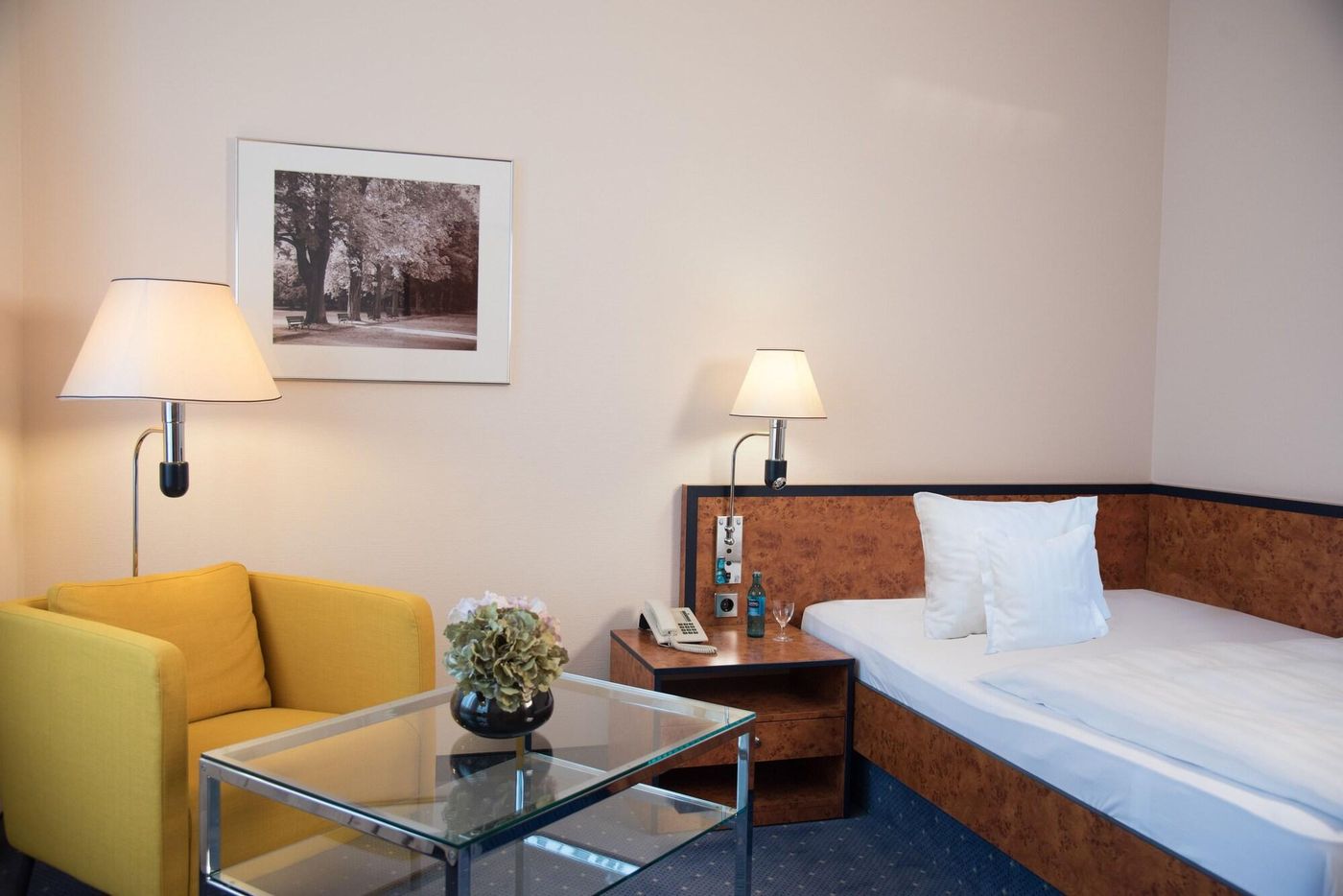 Hotel Arkadia - Germany - FRIEDRICHSDORF - Room - 9
