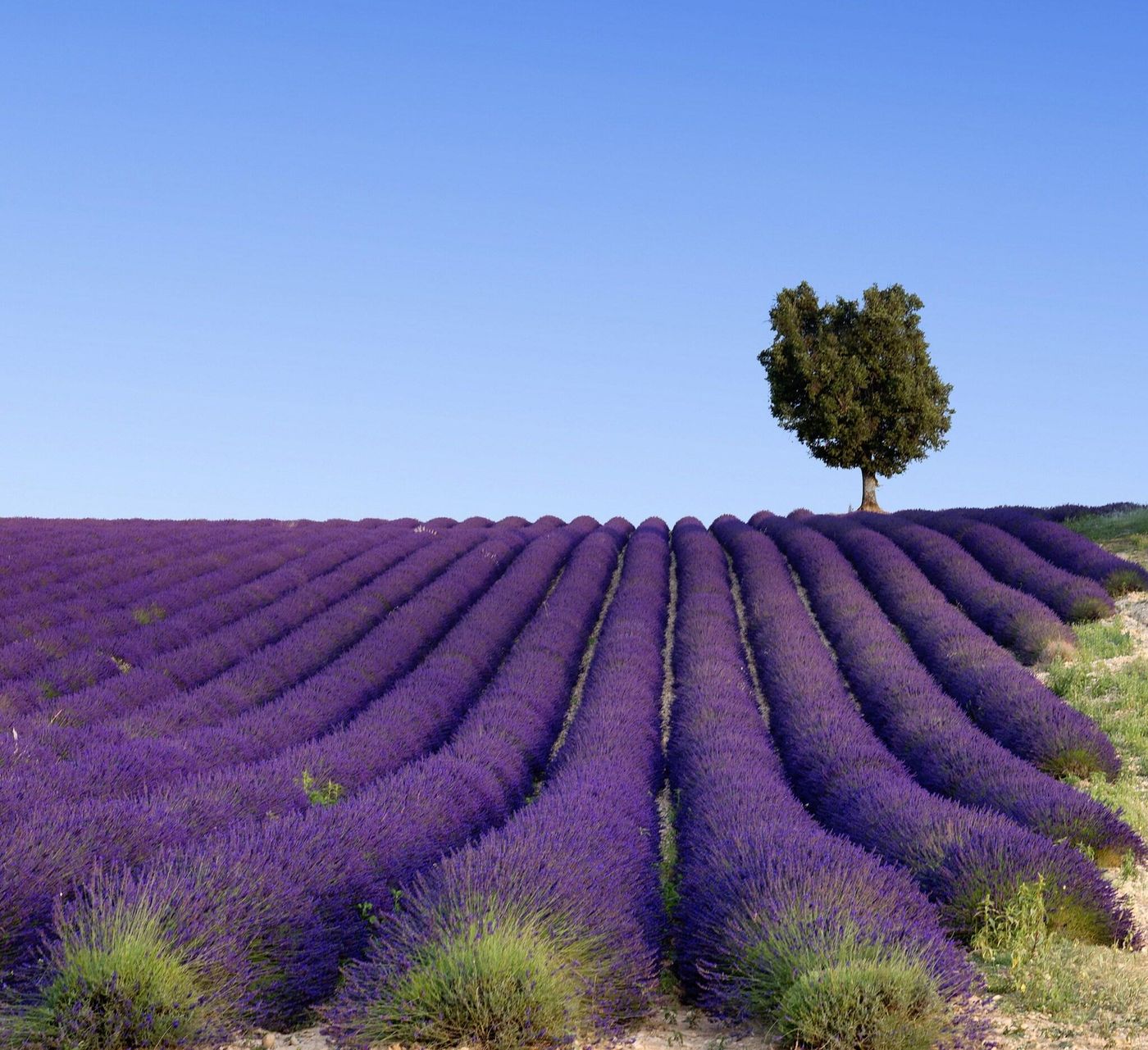 Intercontinental Hotels Marseille - Hotel Dieu-France-Marseille-General view-4