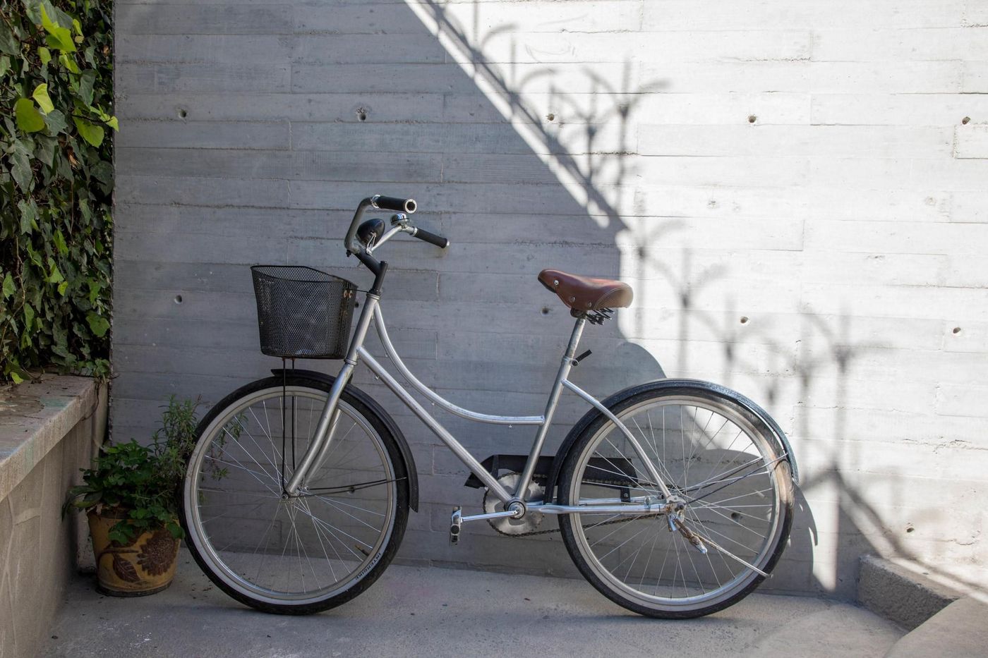 Pug Seal Anatole France-Mexico-MEXICO CITY-General view-2