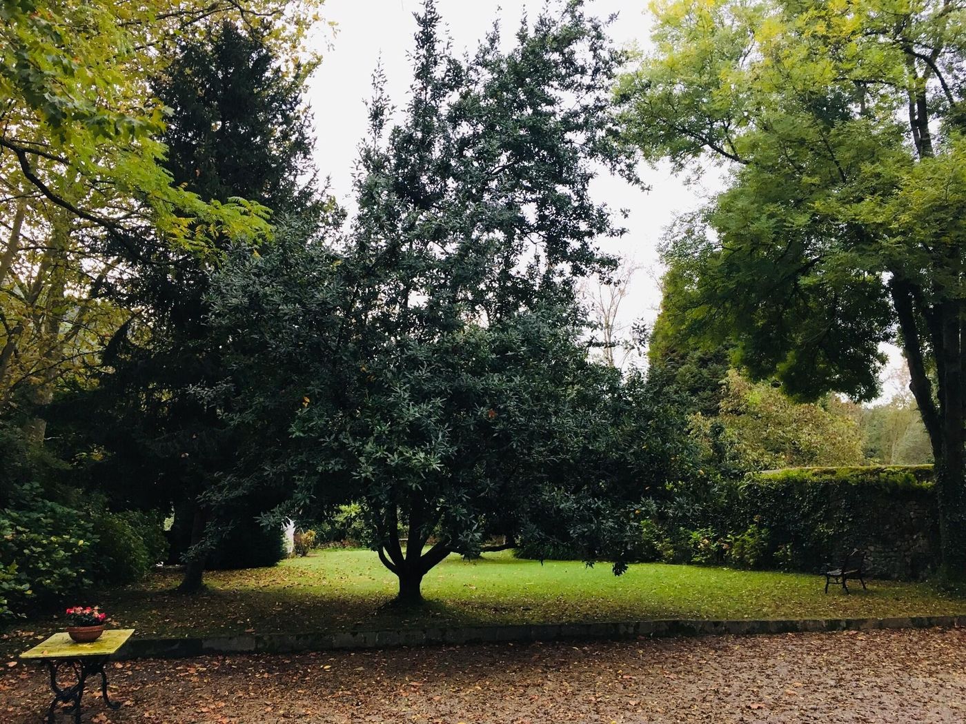 Hotel Casona El Arral-Spain-LIERGANES-General view-4