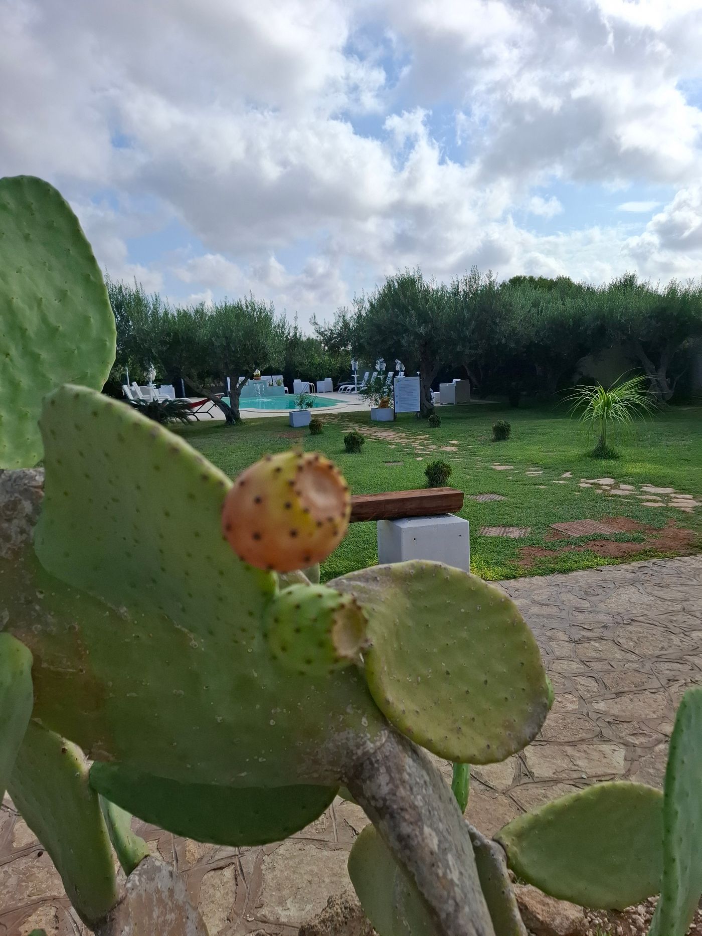 Signorino-Eco-Resort---spa-General-view-14