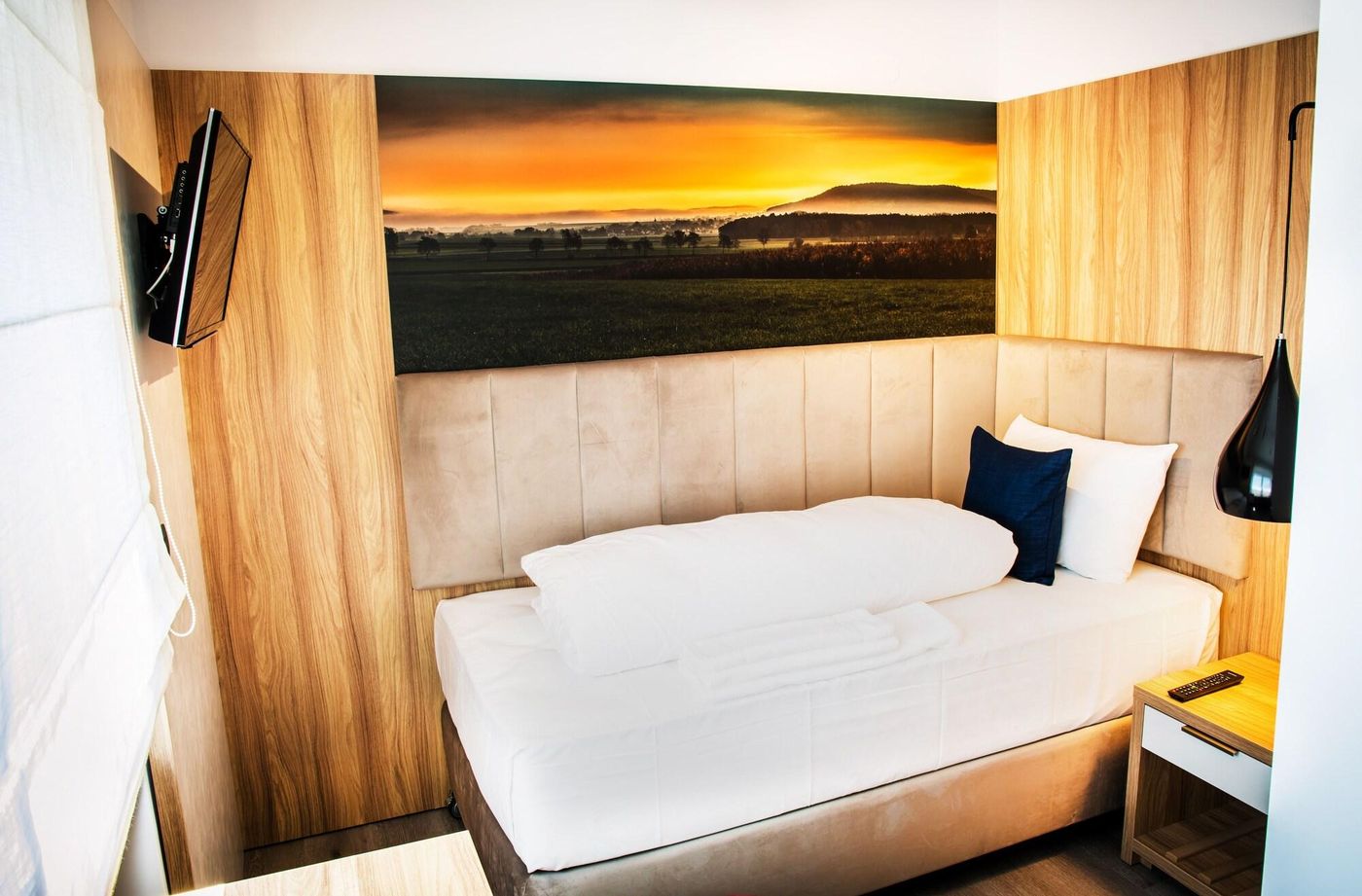 Wilder Mann-Germany-NUREMBURG -Room-8