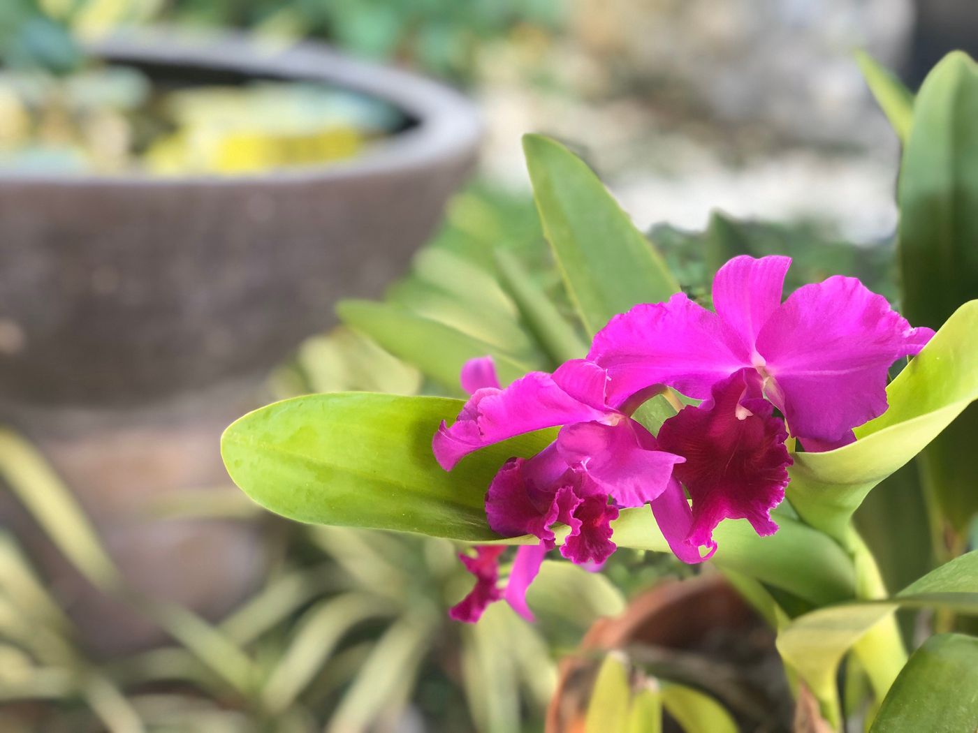 Palm Galleria Resort-SHA Plus-Thailand-KHAO LAK-General view-2