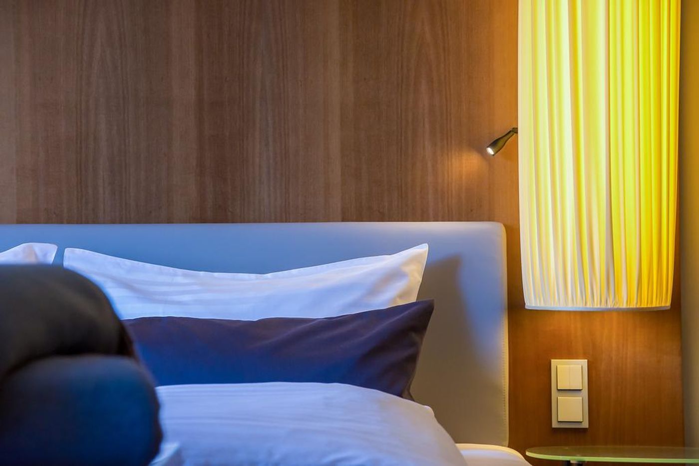 The Penz-Austria-Innsbruck-General view-5