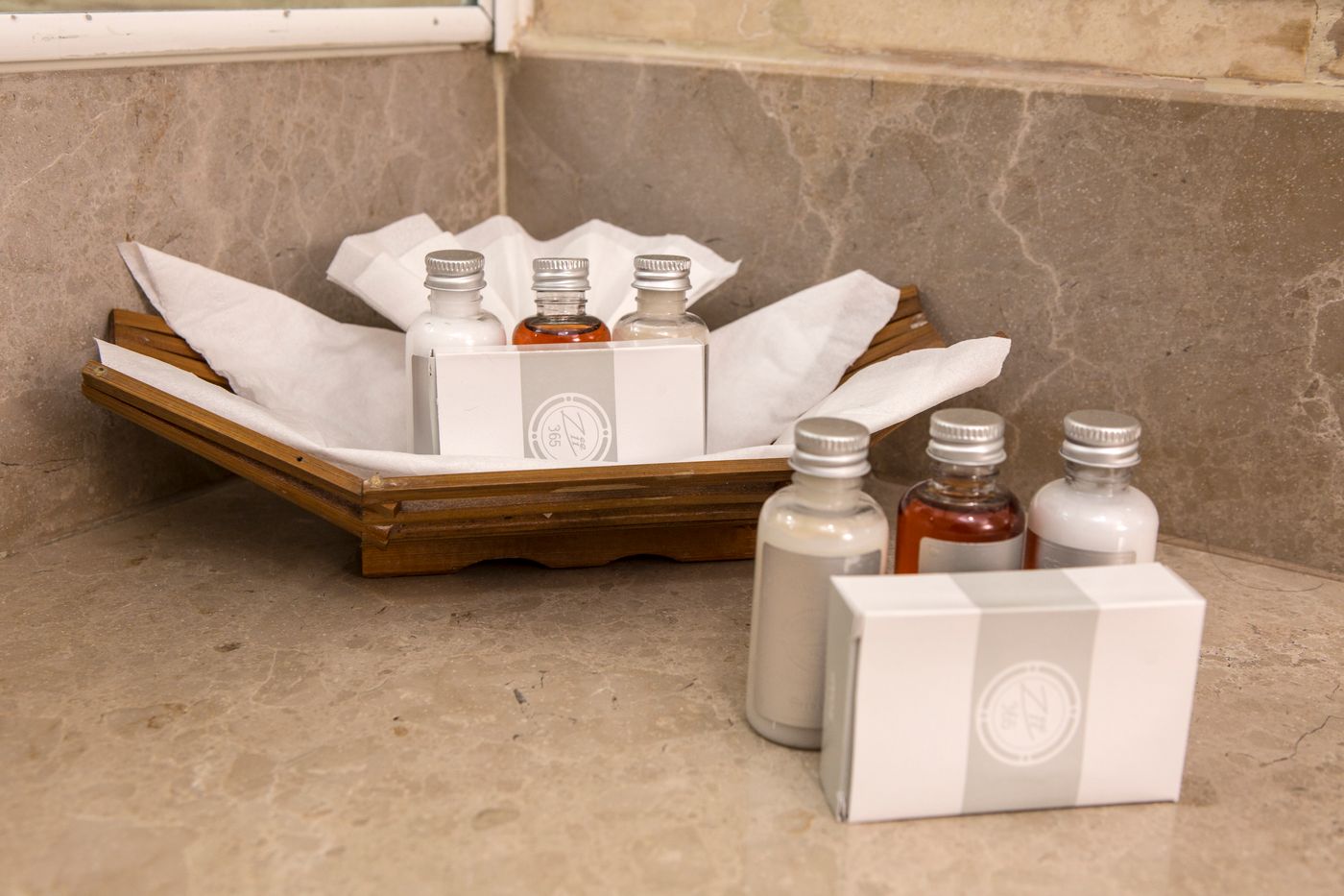 Suites del Angel-Mexico-MEXICO D.F.-Room-5