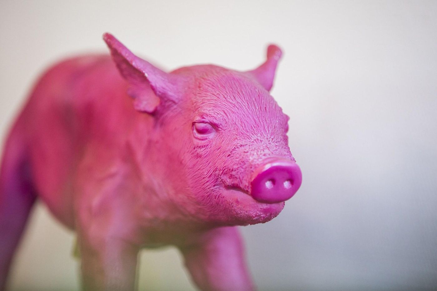 Auszeit Hotel Dusseldorf - Germany - DUSSELDORF - Lobby - 5