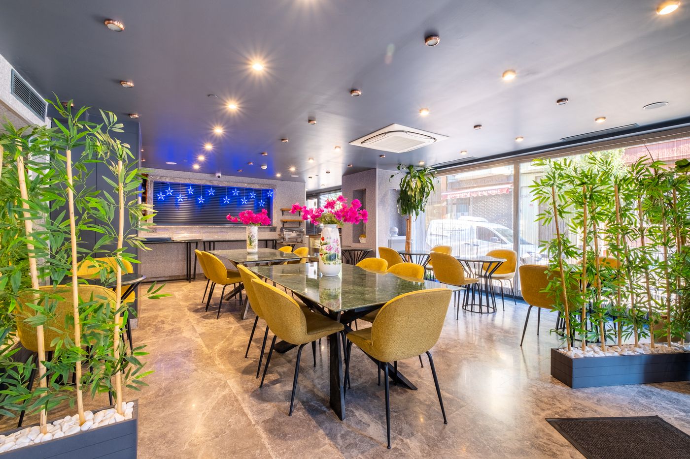 La Wisteria Boutique Hotel - Turkey - ISTANBUL - Lobby - 9