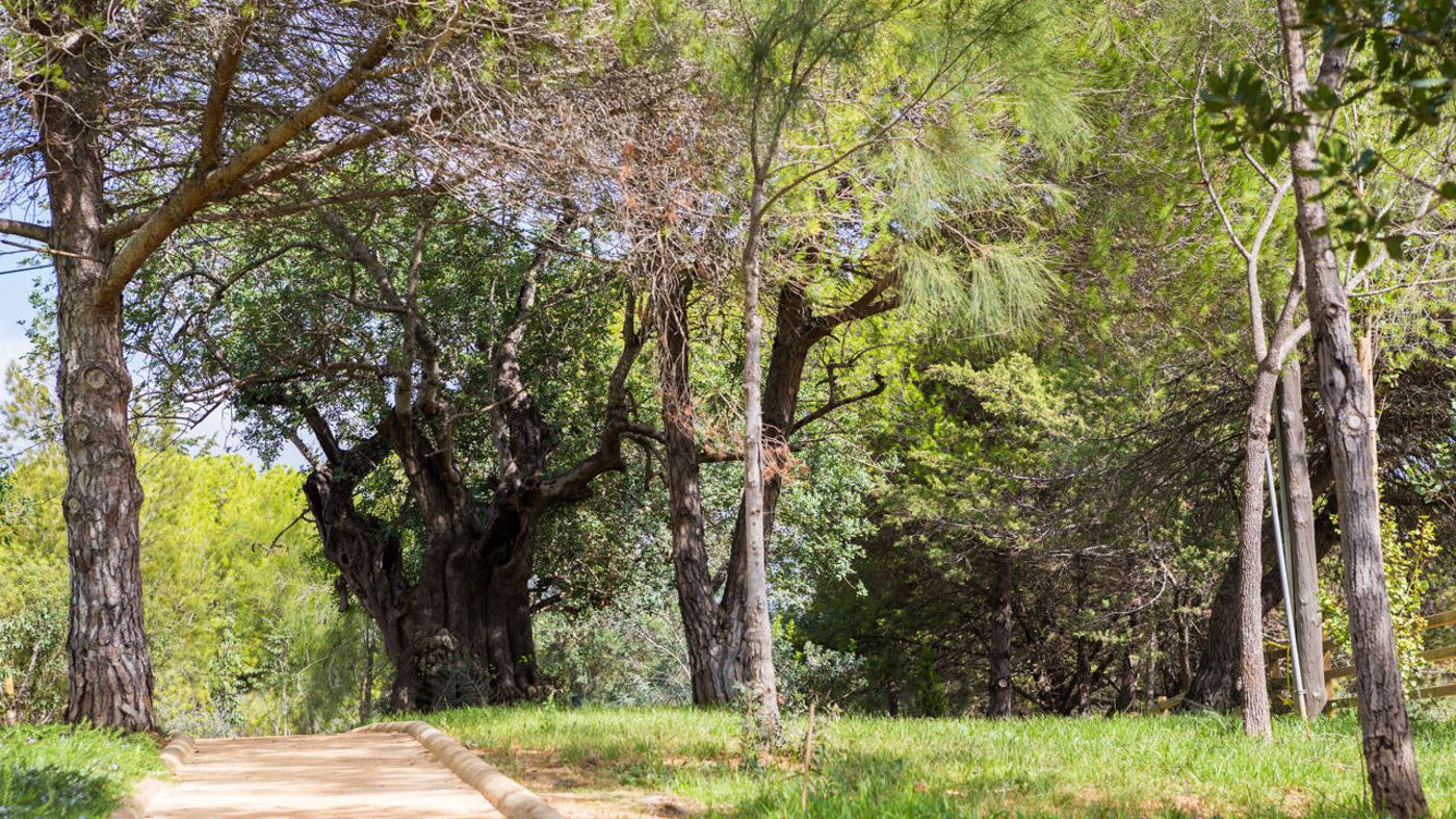Ozadi-Tavira-Hotel-Terrace-46