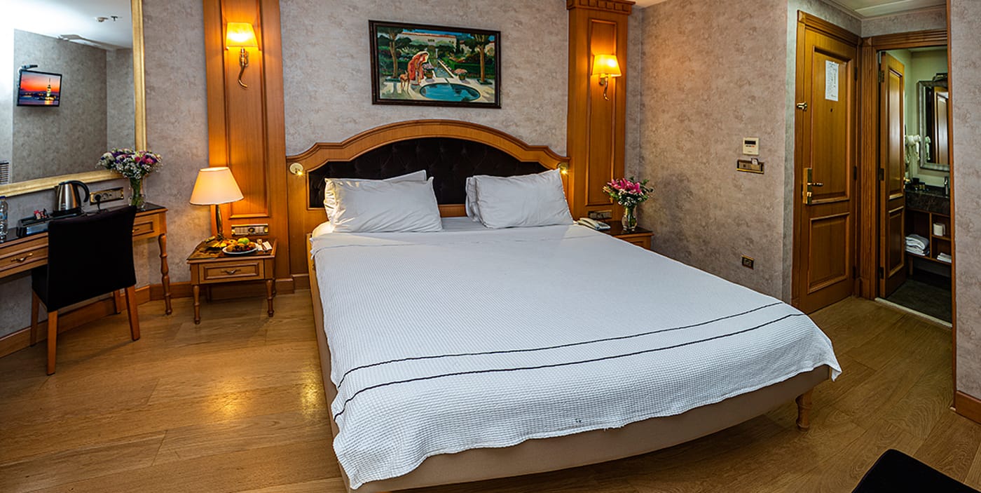 Aprilis Hotel - Turkey - ISTANBUL - Room - 5