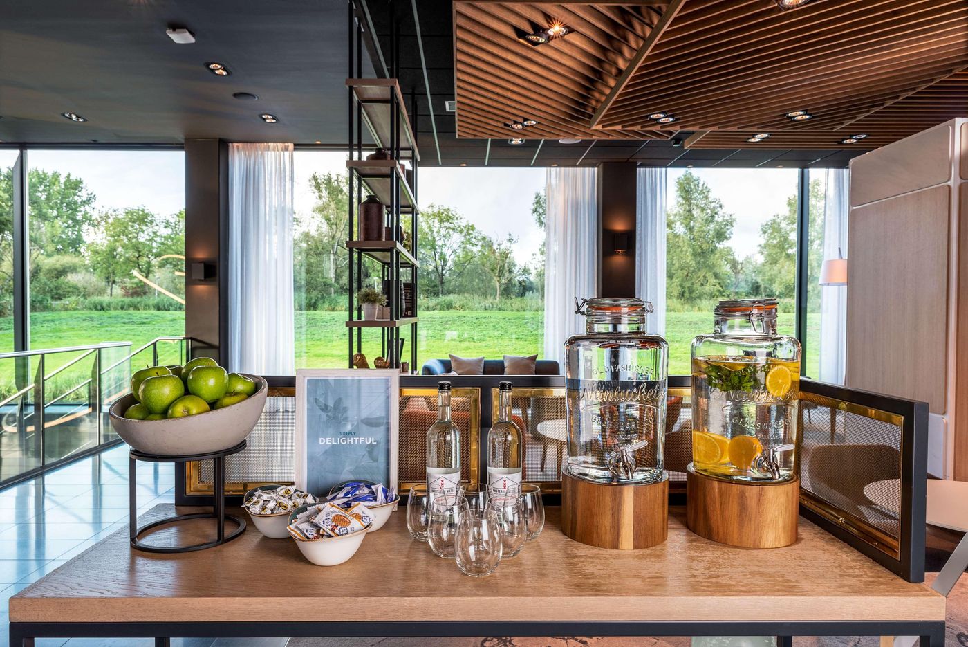 Radisson-Hotel---Suites-Amsterdam-South-Lobby-17