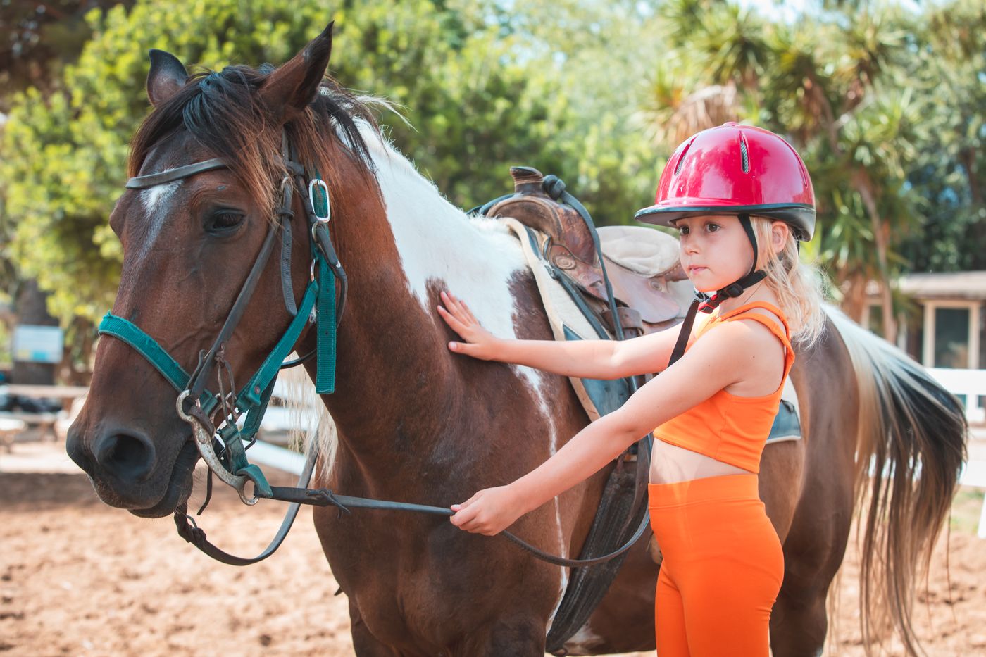 Cormoran-Sports-and-Entertainment-51