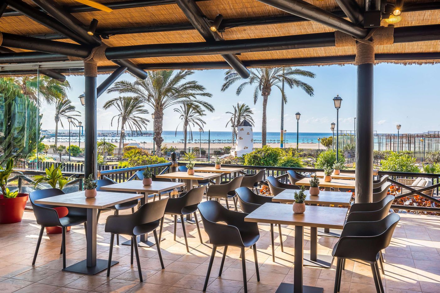 Barcelo-Fuerteventura-Mar-Terrace-74