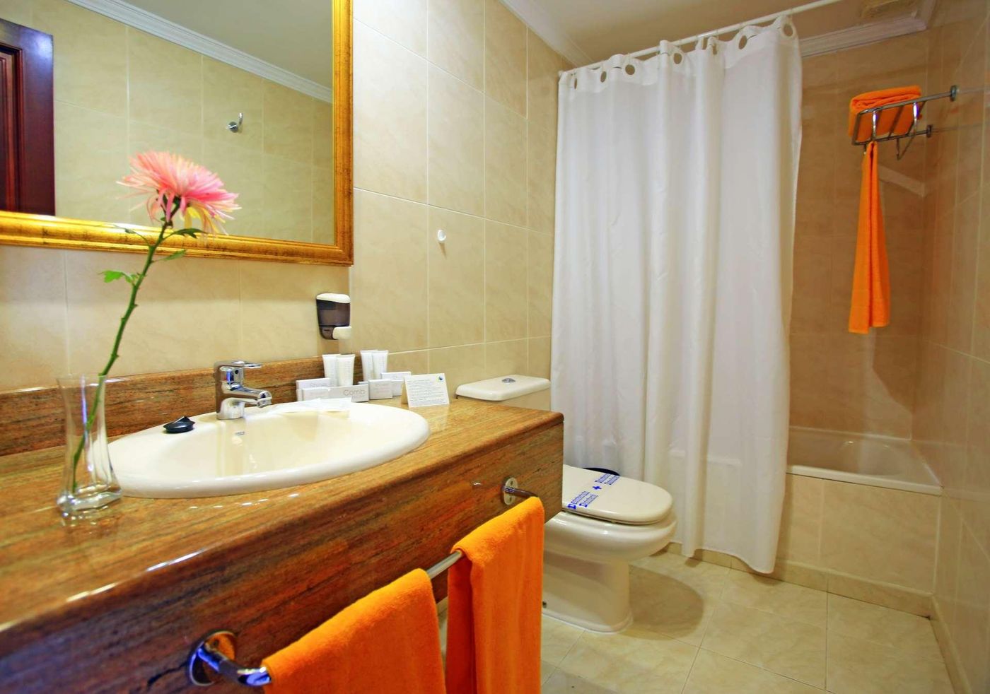 Labranda-Los-Cocoteros-Room-36