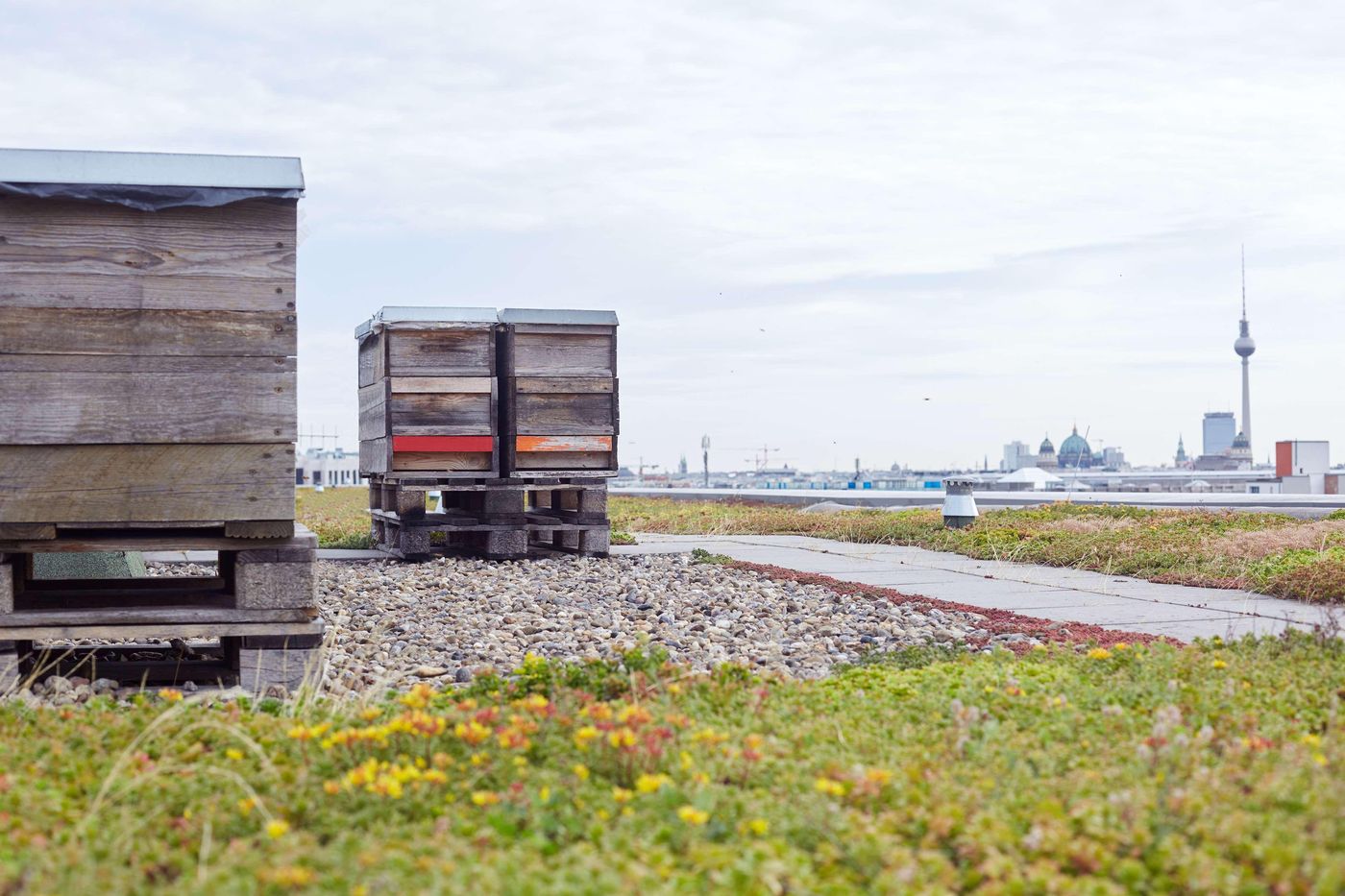 Scandic-Berlin-Potsdamer-Platz-General-view-9